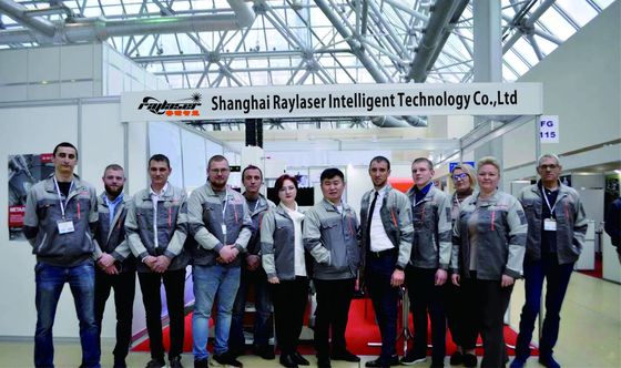 メタルCNC経済的なIシリーズ 6kw メタルカッターサンプルのための小型3Dレーザー切断機